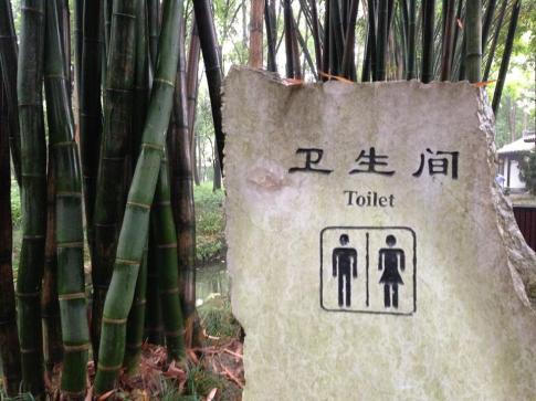 toilet-china2